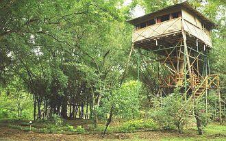 Safari Land Resort, Nilagiri 5